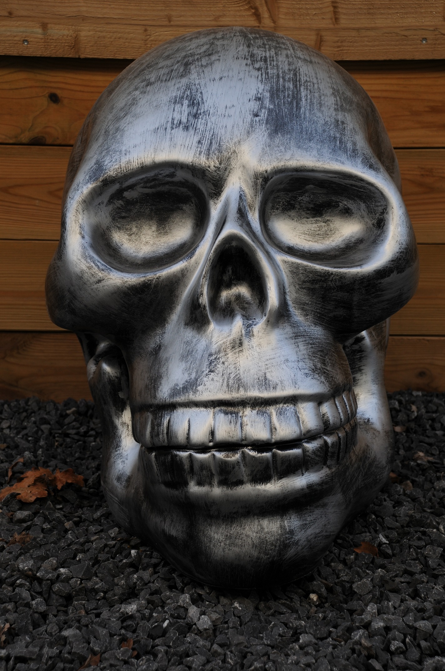 Zeer grote anatomische schedel, uit Polystein-grijs-zwart