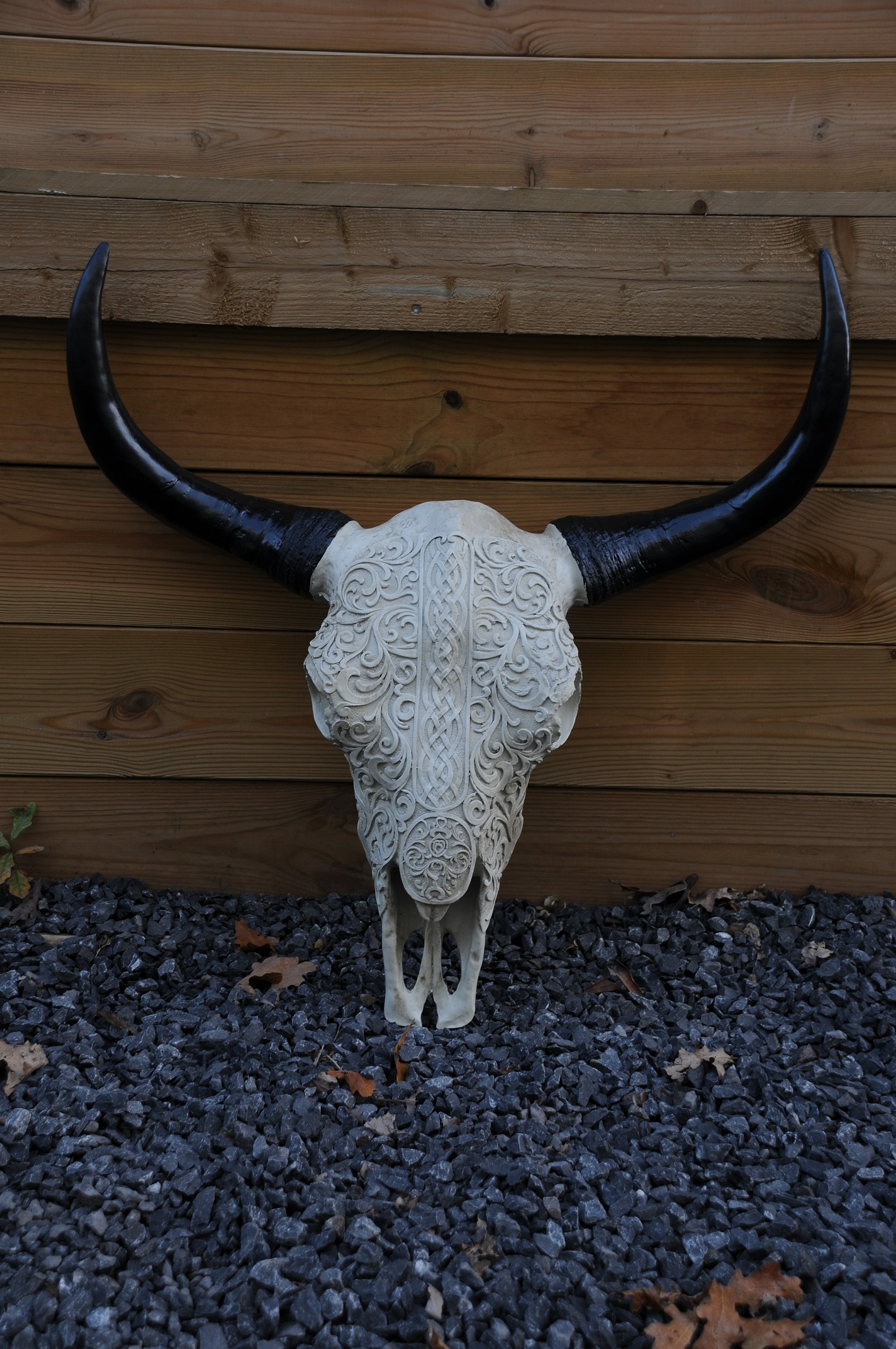Schedel ivoor-grijs met zwarte horens, massief polystein.