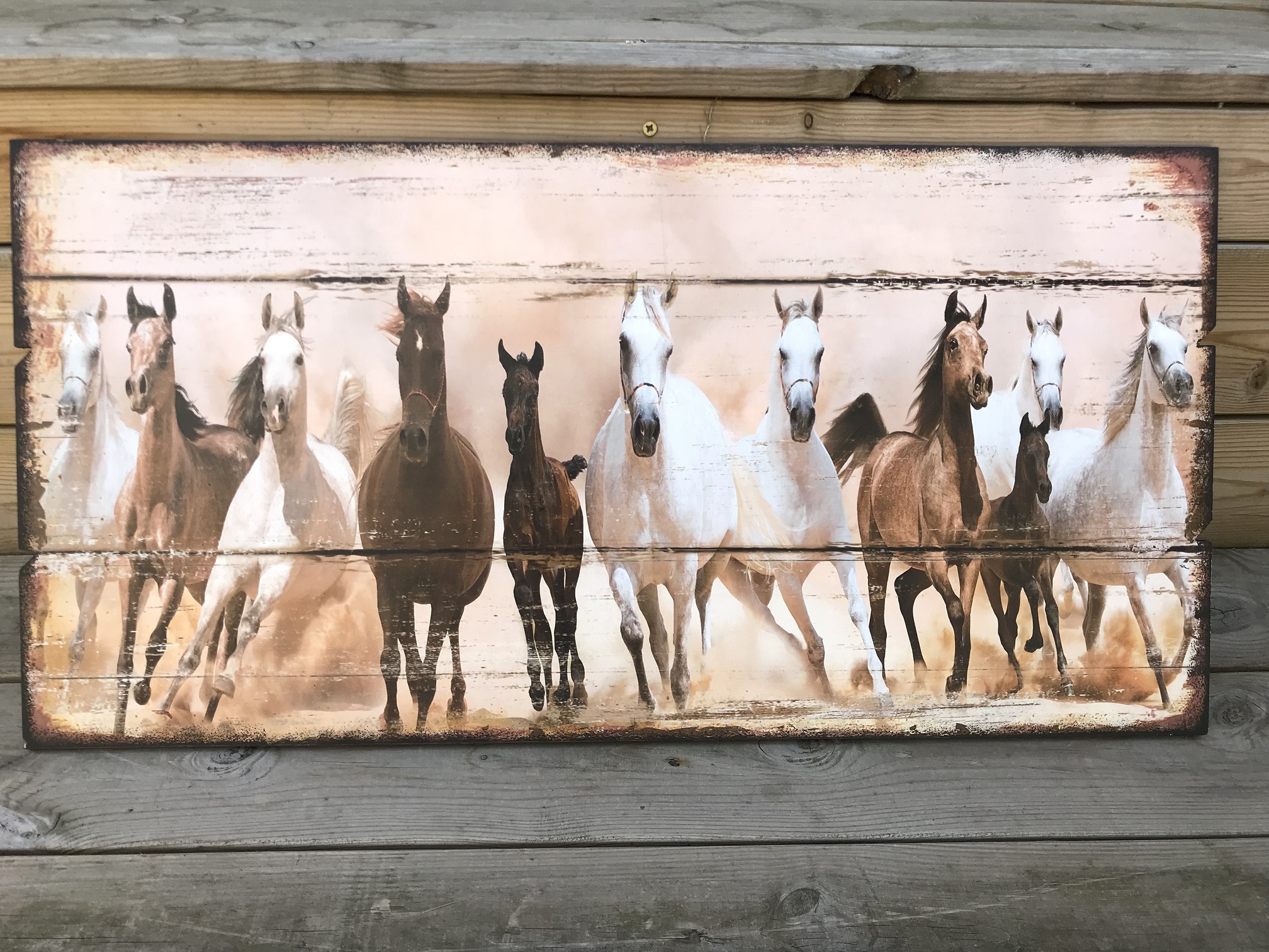 Groot wandbord met daarop 11 prachtige paarden.