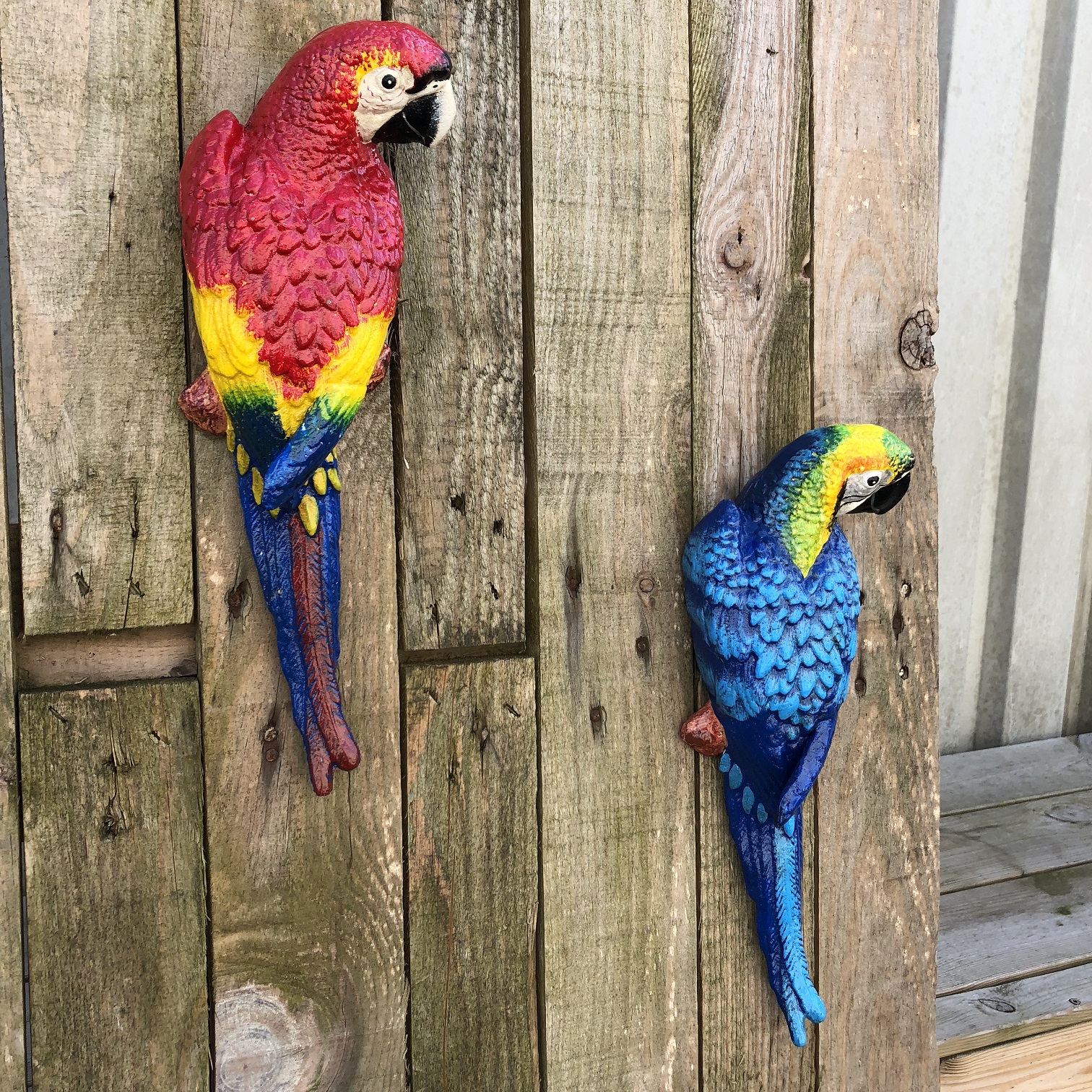 Set papegaaien, gietijzer