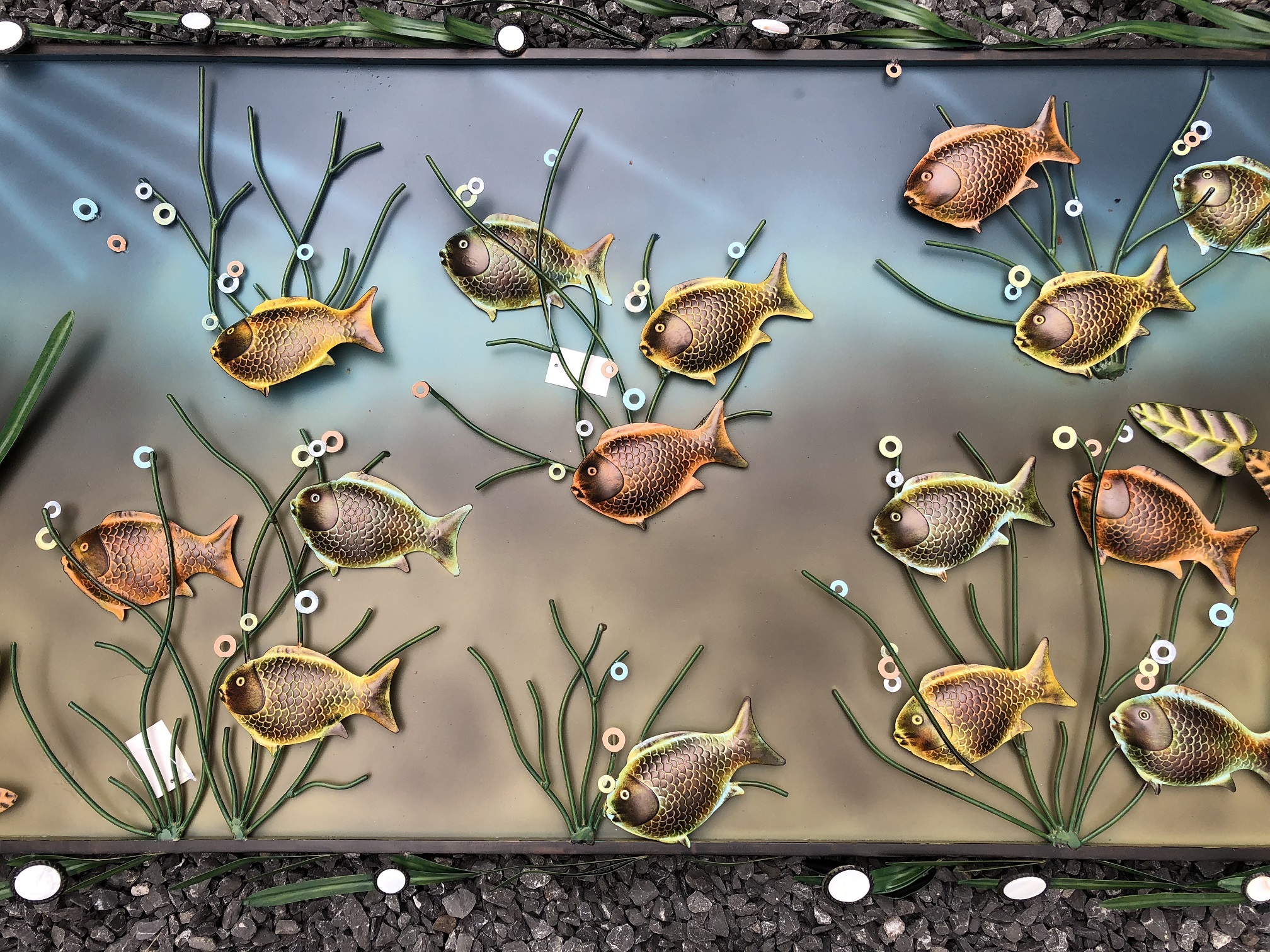 Het metalen aquarium vol met vis, geweldig mooi ontwerp.