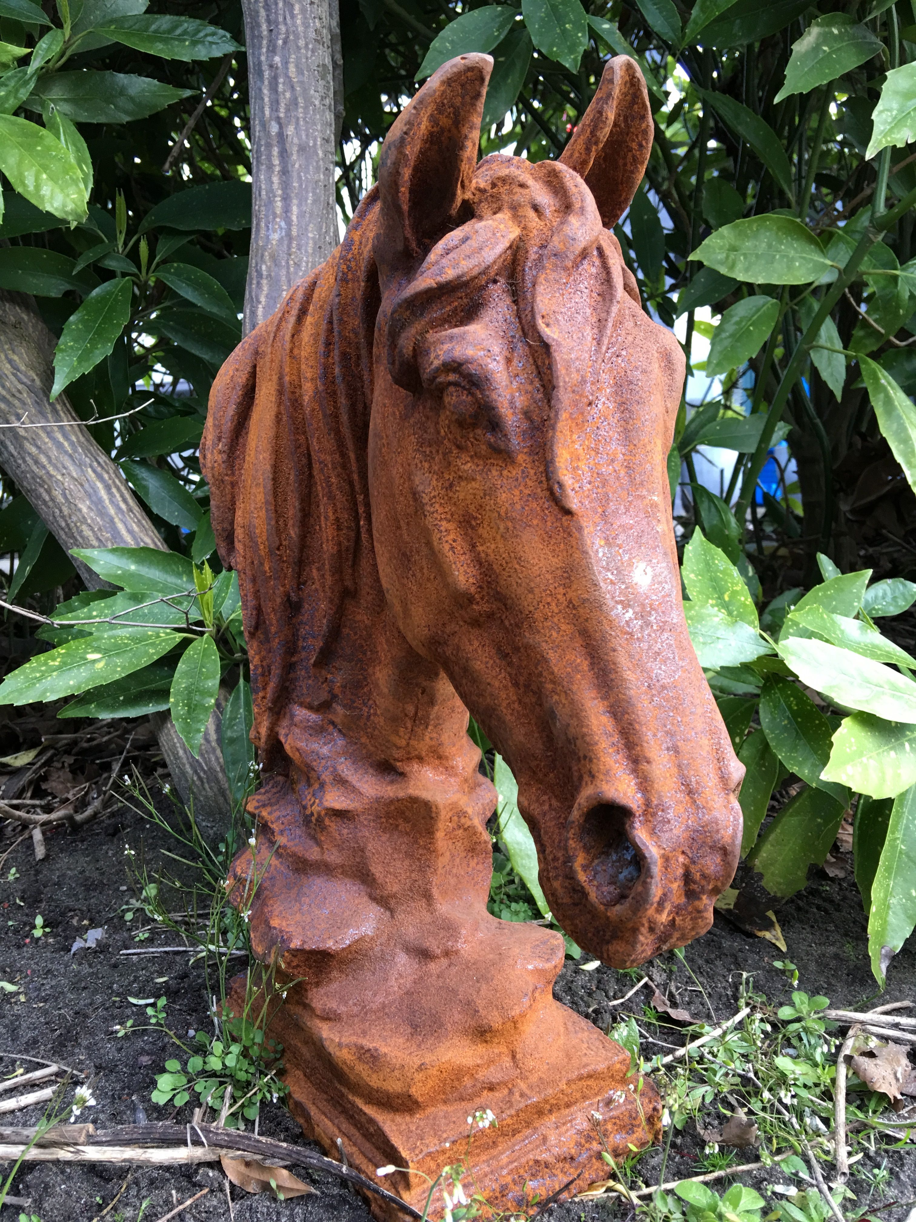 Paarden hoofd gemaakt van ijzer