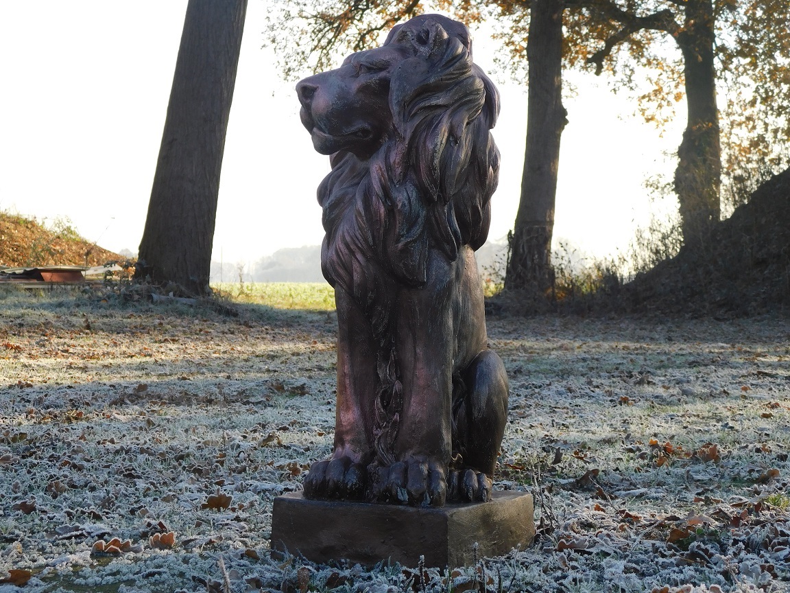 Seated lion - polystone - right looking - copper look