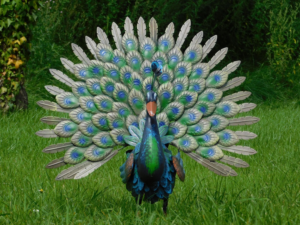 Statue Peacock XL - Metal - Full in Colour