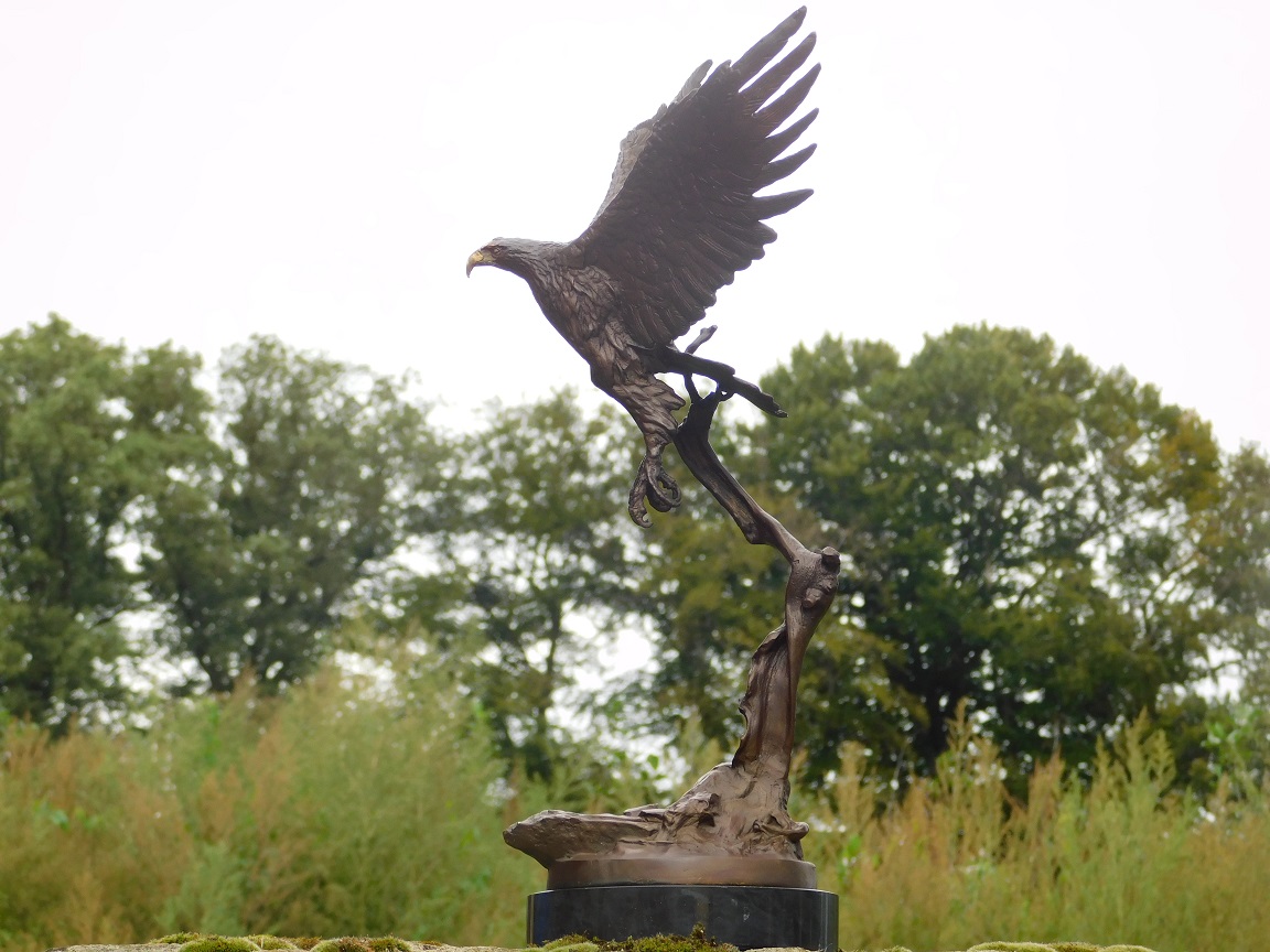 Bronzeadler auf Marmorsockel - 51 cm - Skulptur