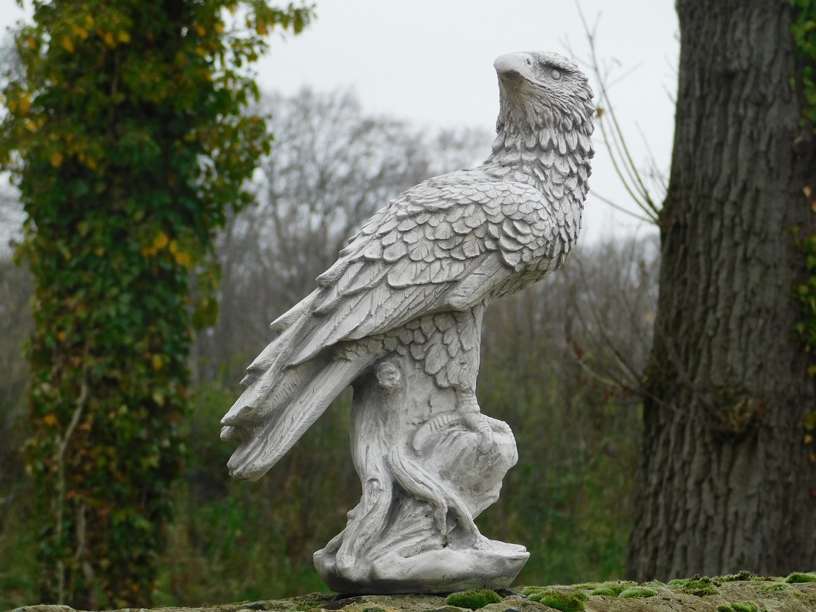 Statue Eagle - Stone - Detailed - Bird of Prey Sculpture - HANDGEMAAKT.EU
