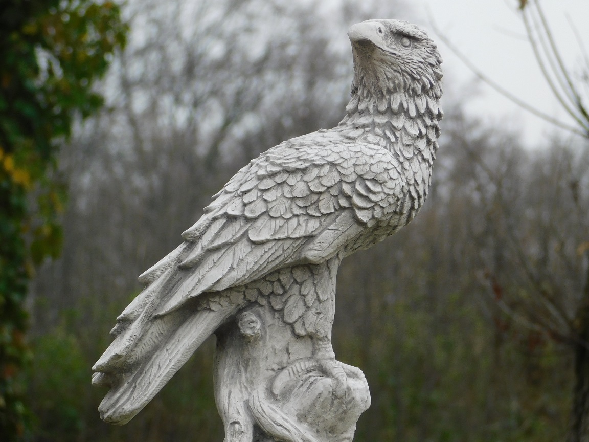 Statue Adler - Stein - Detailliert - Raubvogel Skulptur