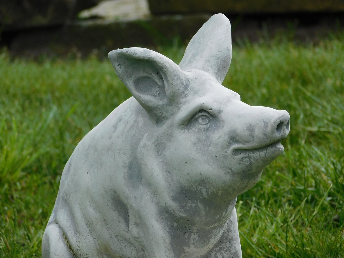 Statue eines Schweins - massiver Stein