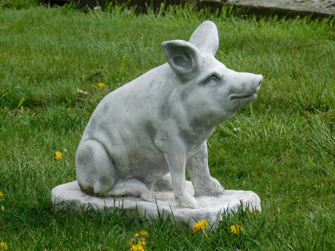 Statue of a pig - solid stone