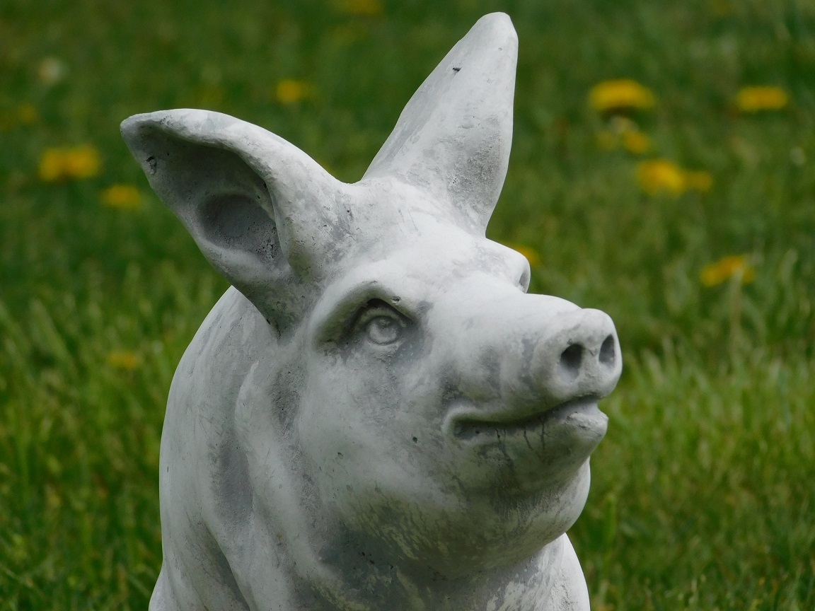 Statue of a pig - solid stone