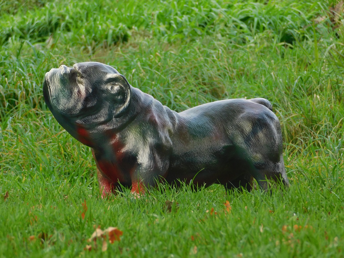 Statue Bulldog - multicolour - polystone