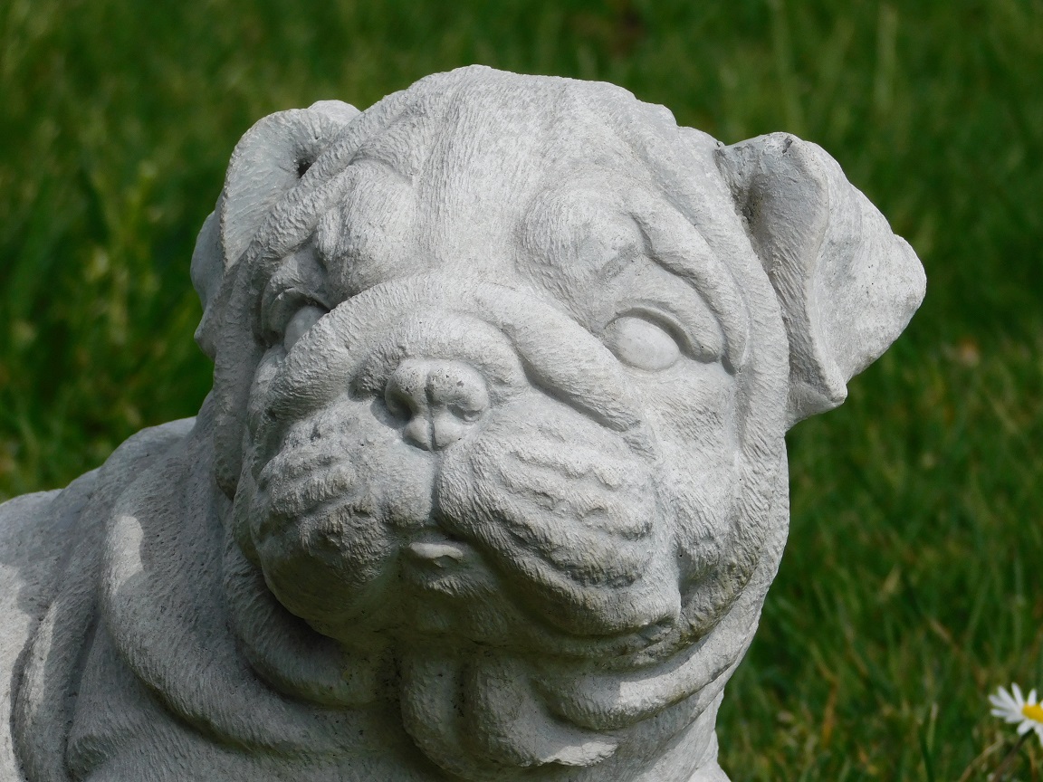 Statue Bulldogge Welpe - massivem Stein