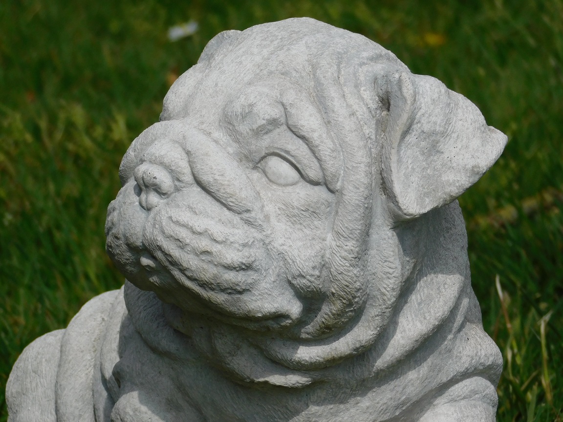 Statue Bulldog puppy - solid stone