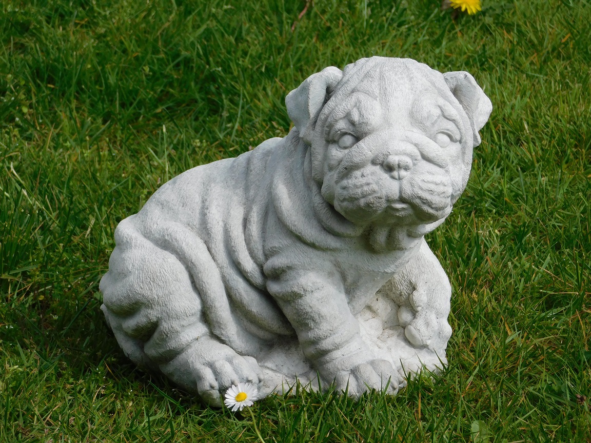Statue Bulldog puppy - solid stone