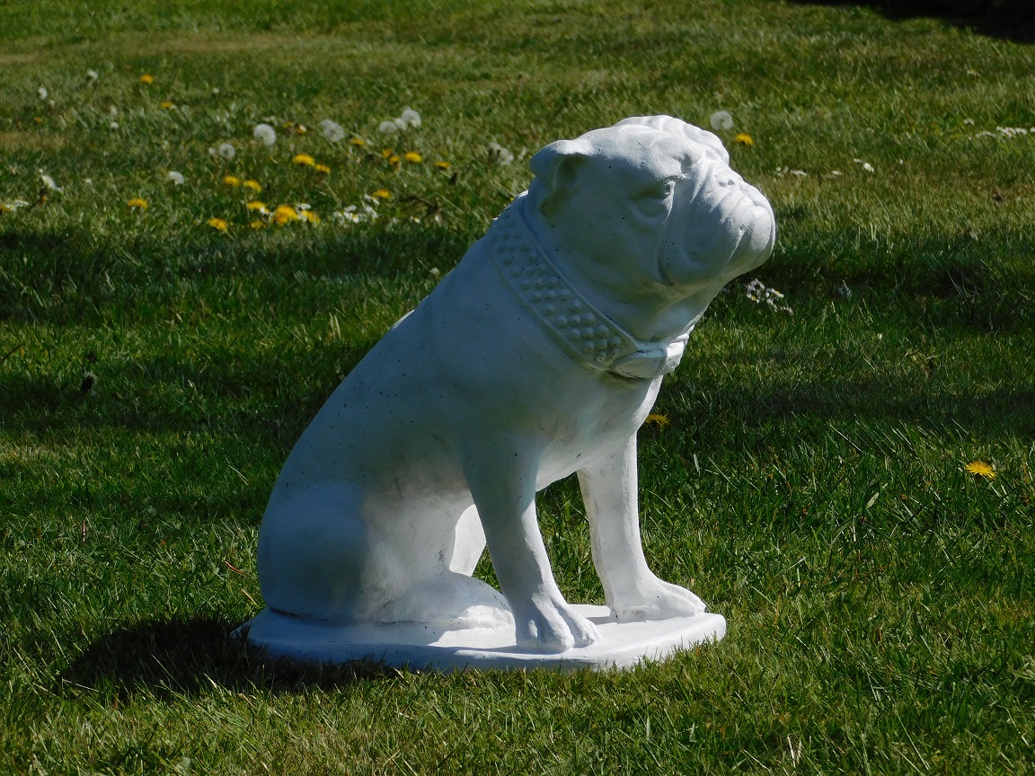 Statue Bulldog XL - solid stone