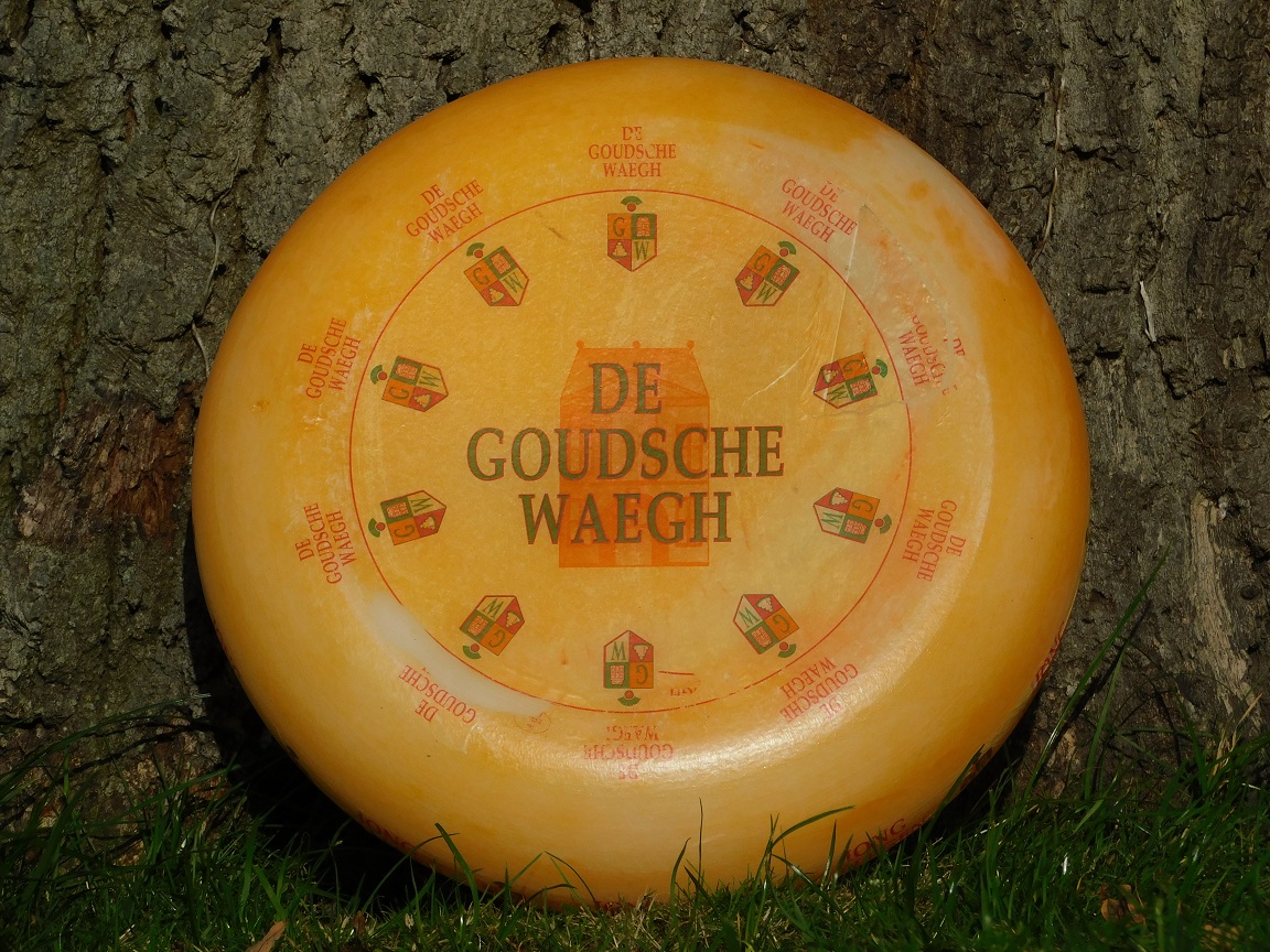 Decorative Cheese Wheel - De Goudsche Waegh Jong Belegen - Ø 35 cm