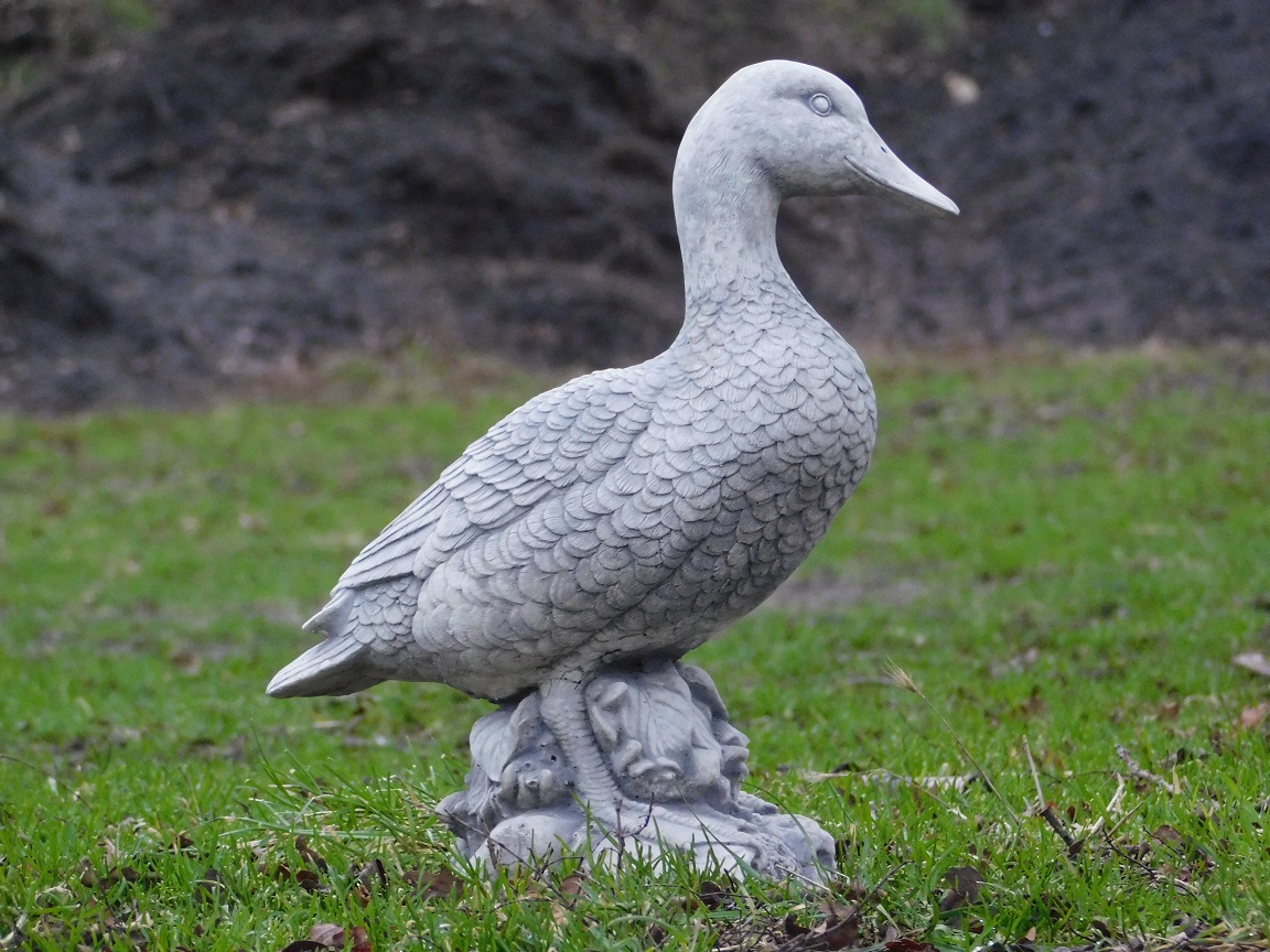 Stone duck - 37 cm - Detailed
