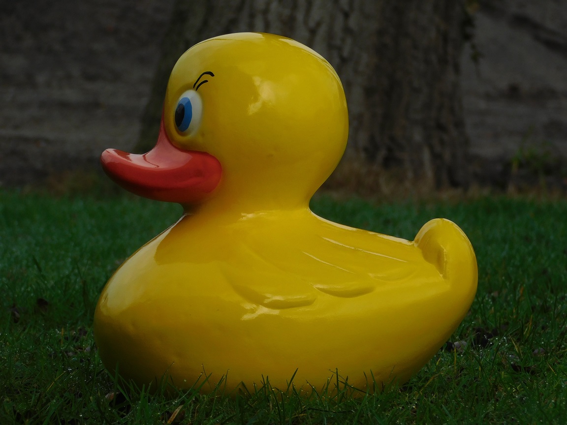 Duck XL - yellow - polystone