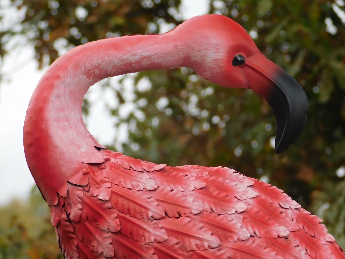 Prachtige grote forse metalen flamingo, echt een fascinerend kunstwerk, PRACHTIG!!
