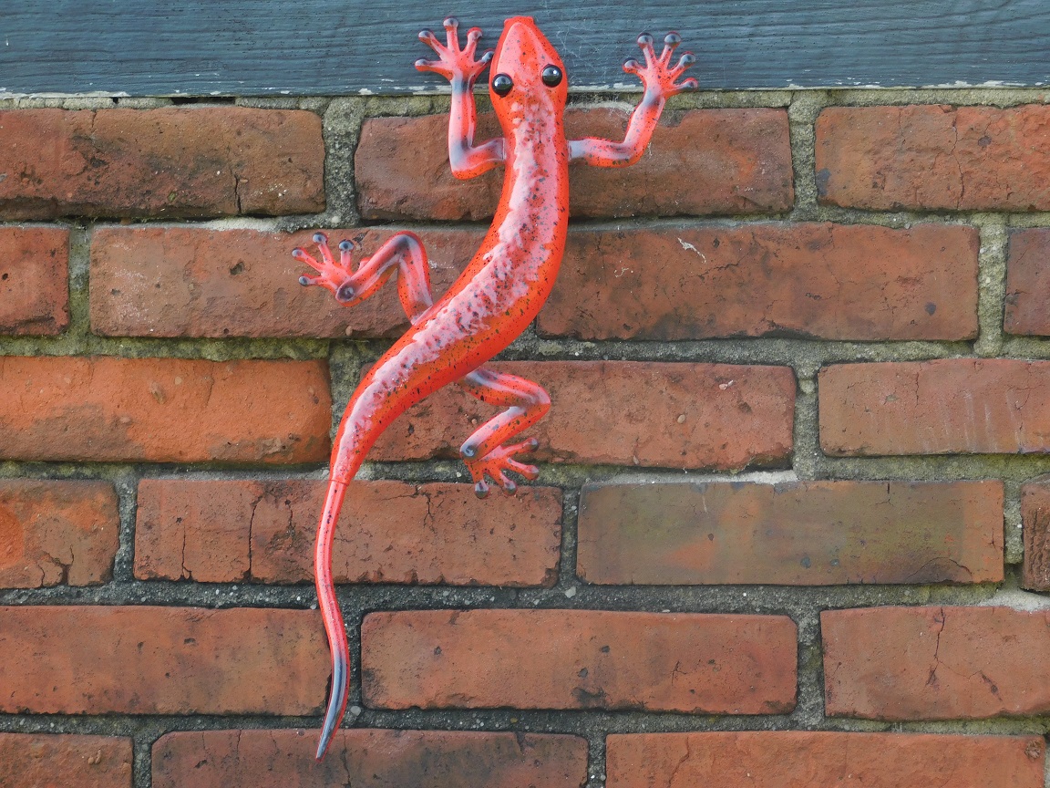 Set of 4 colour geckos - hand-painted - metal