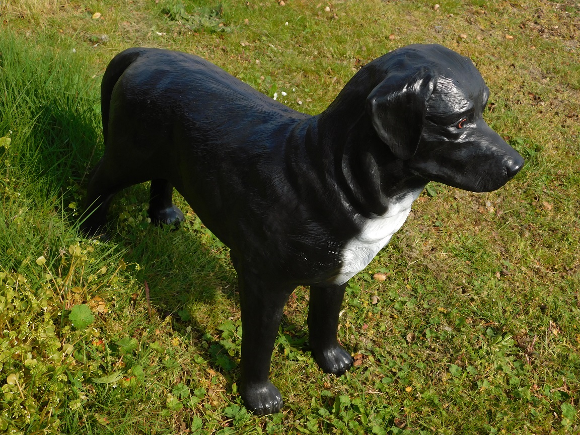 Prachtige ''Labrador Retriever'' zwart - van Polystone