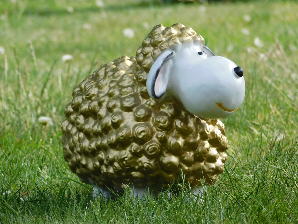 Statue of sheep - gold - polystone