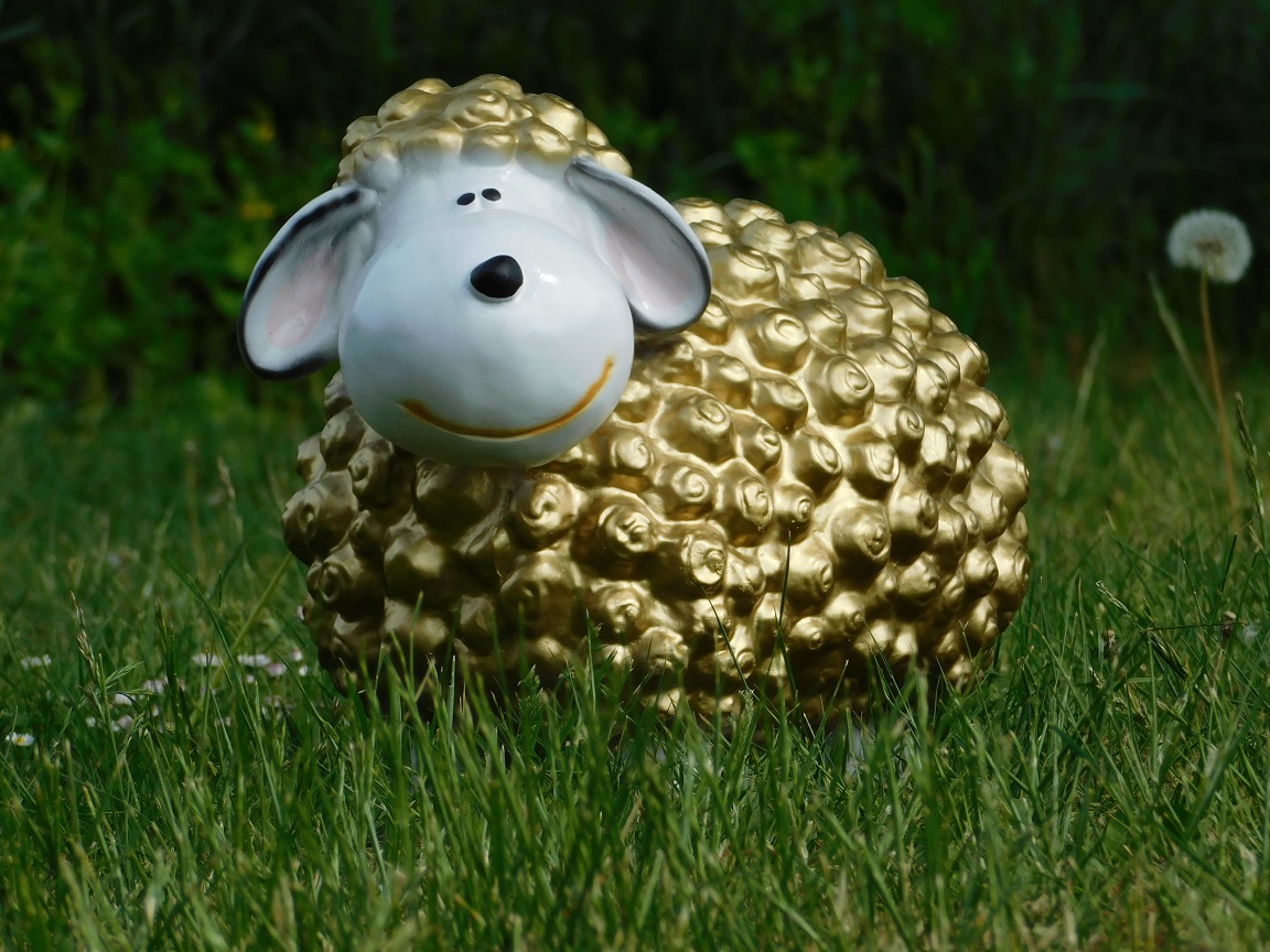 Statue of sheep - gold - polystone