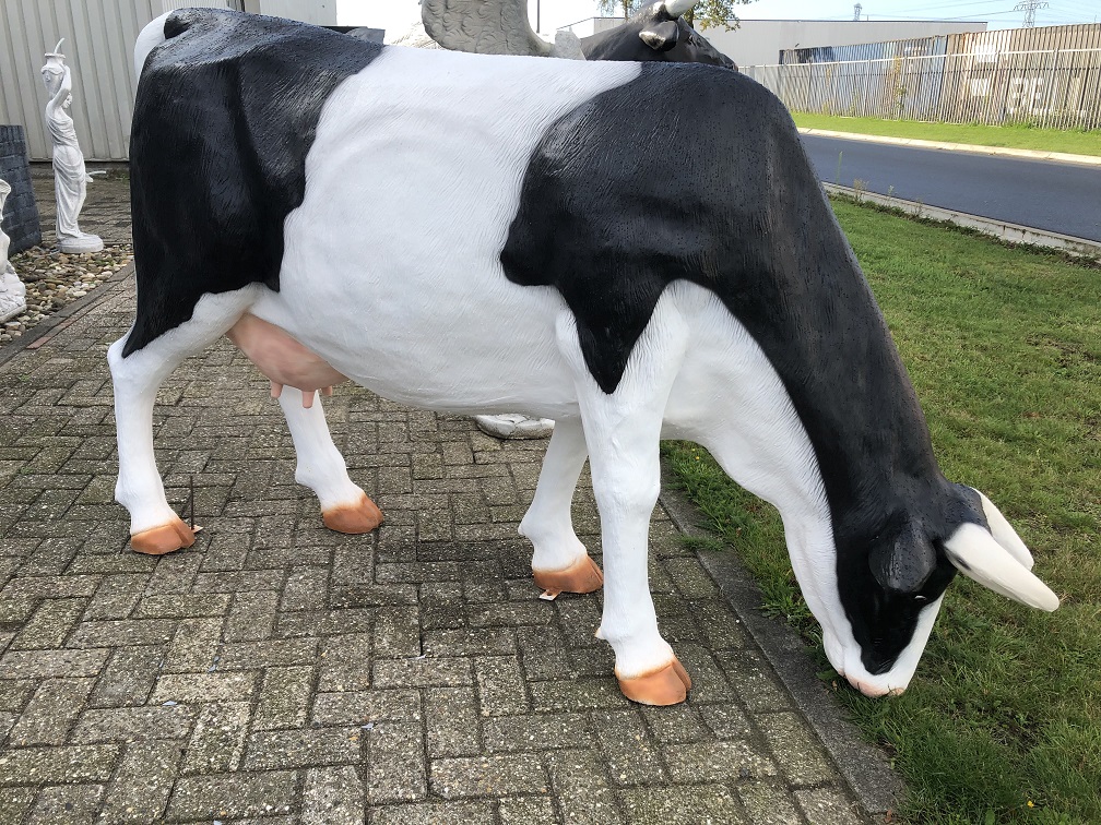 Mooie sculptuur van een grazende koe, prachtig in kleur gezet, echte eye-catcher!!