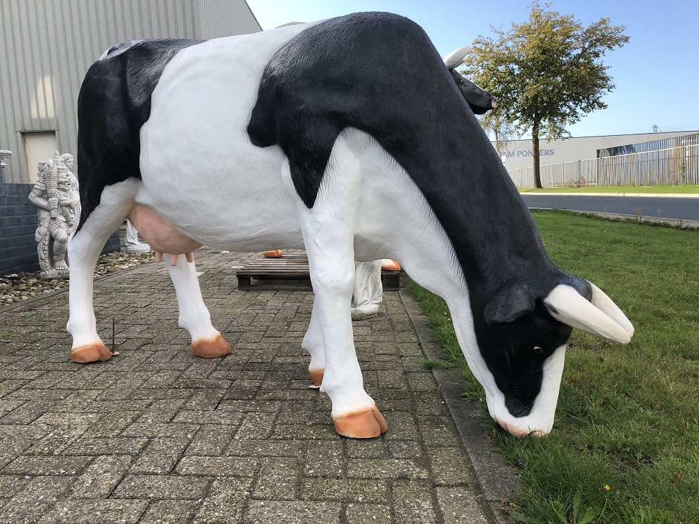 Mooie sculptuur van een grazende koe, prachtig in kleur gezet, echte eye-catcher!!