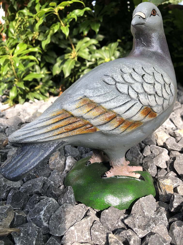Schöne Statue, in Farbe, einer Taube, aus Gusseisen, schön