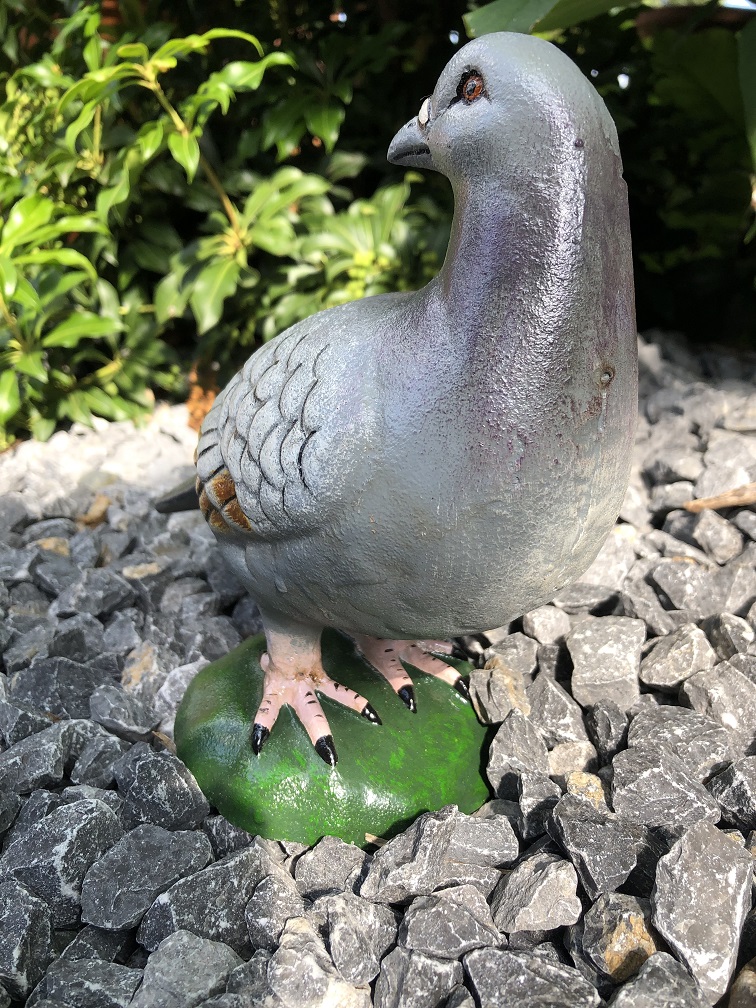 Schöne Statue, in Farbe, einer Taube, aus Gusseisen, schön