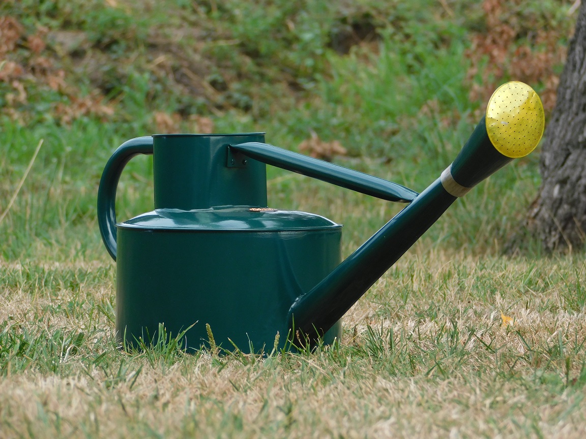 Classic watering can - dark green - 5L