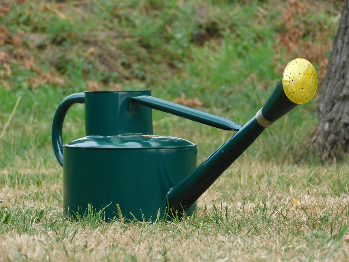 Classic watering can - dark green - 5L