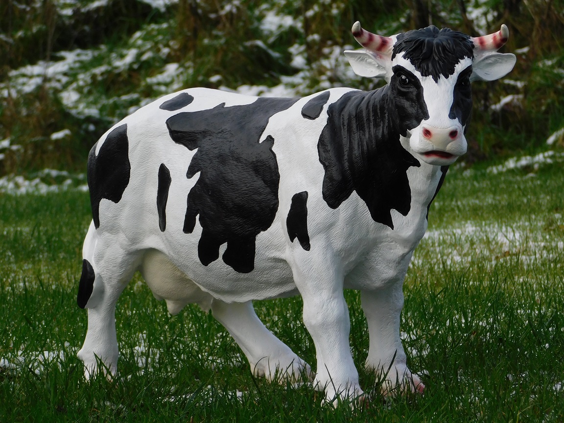 Kuh mit Hörnern - L - Polystone - Detailliert