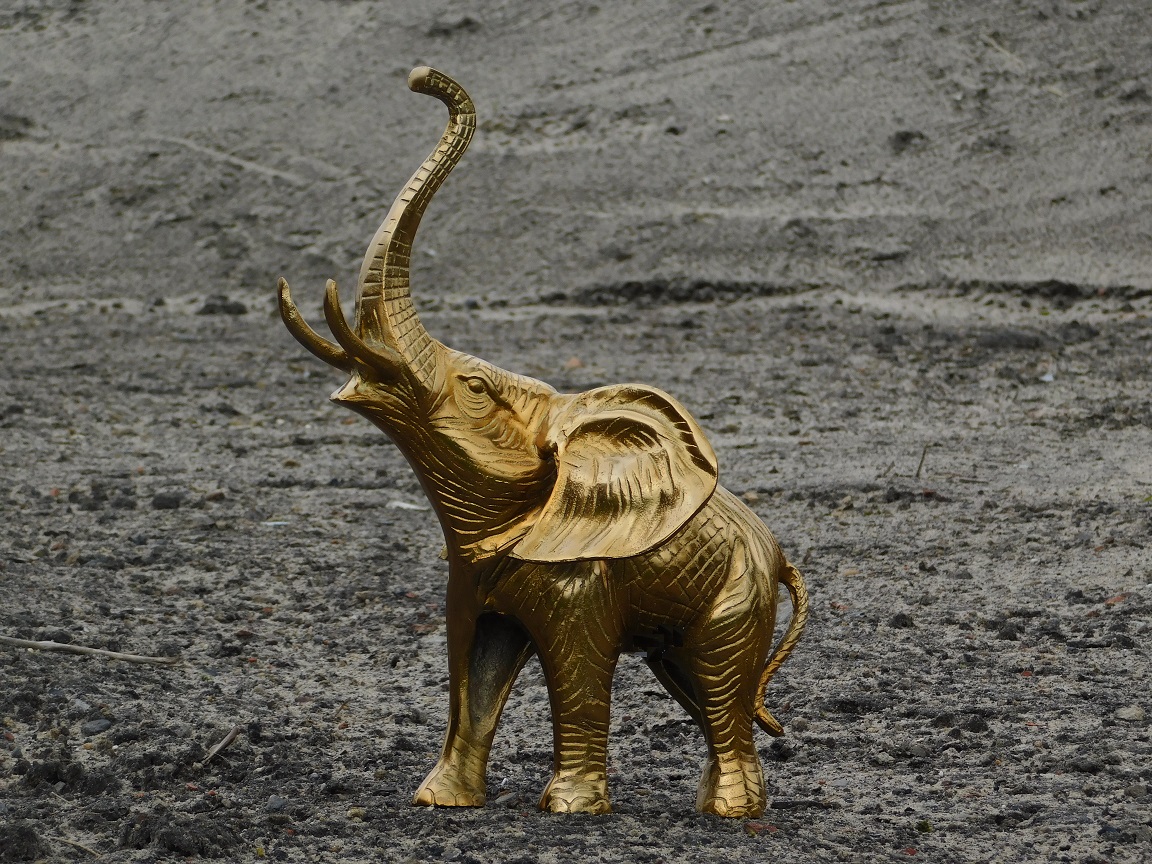 Sculpture elephant - gold - alu
