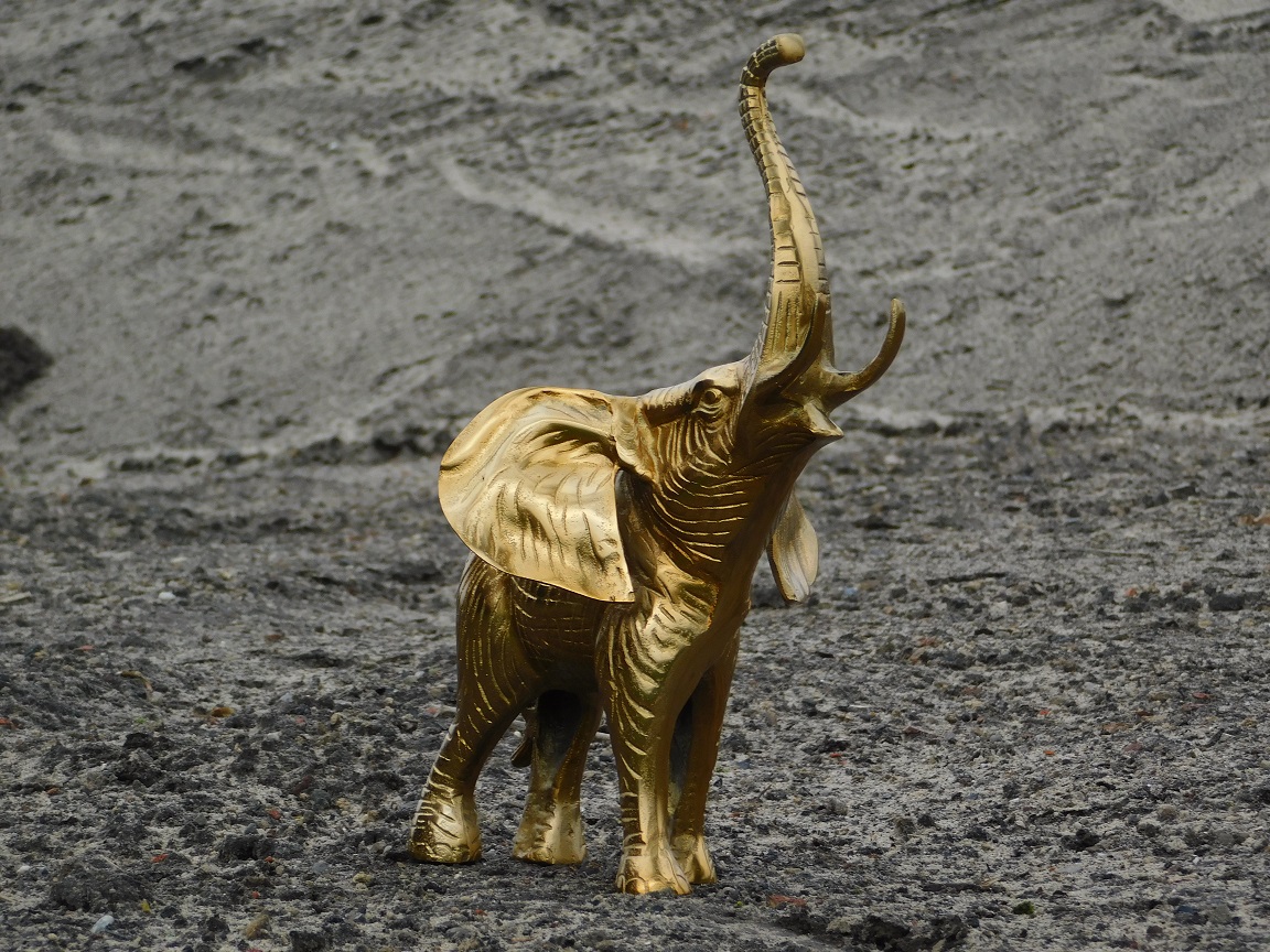 Skulptur Elefant - gold - alu