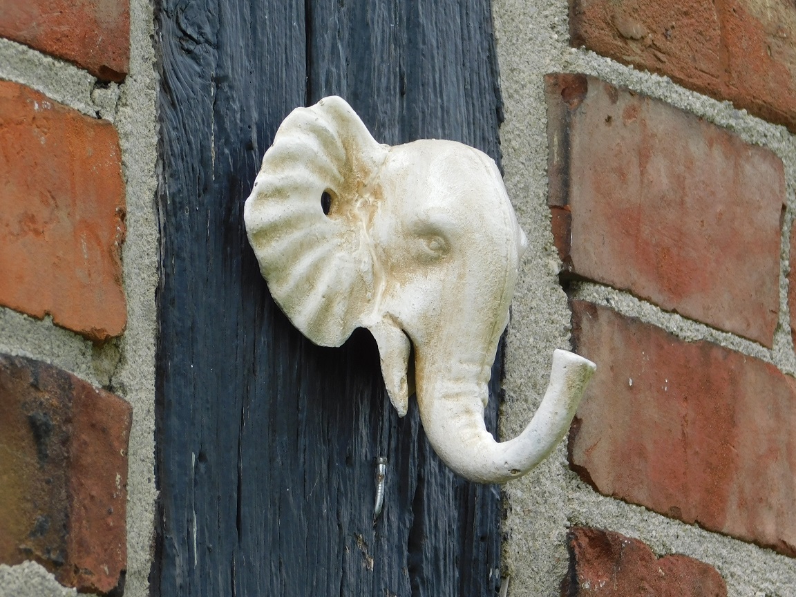 Wall hook Elephant - Cast iron - Old White