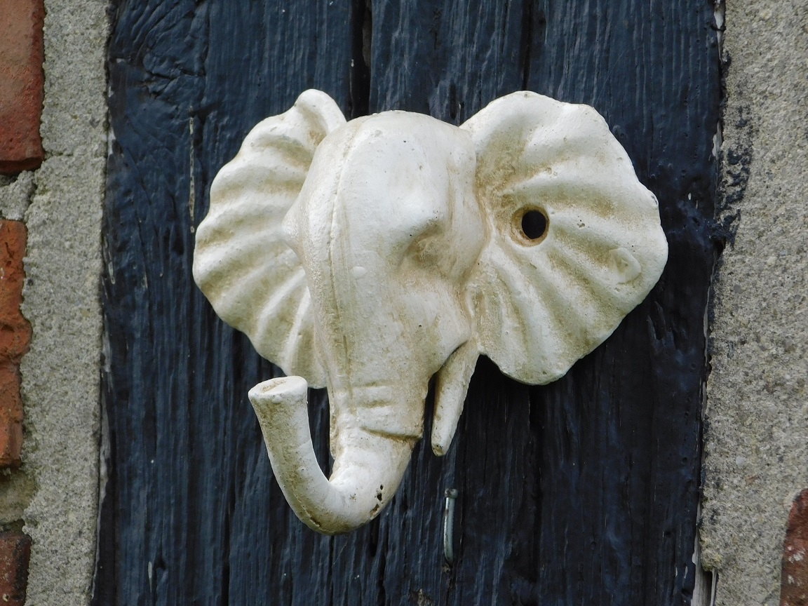 Wall hook Elephant - Cast iron - Old White 