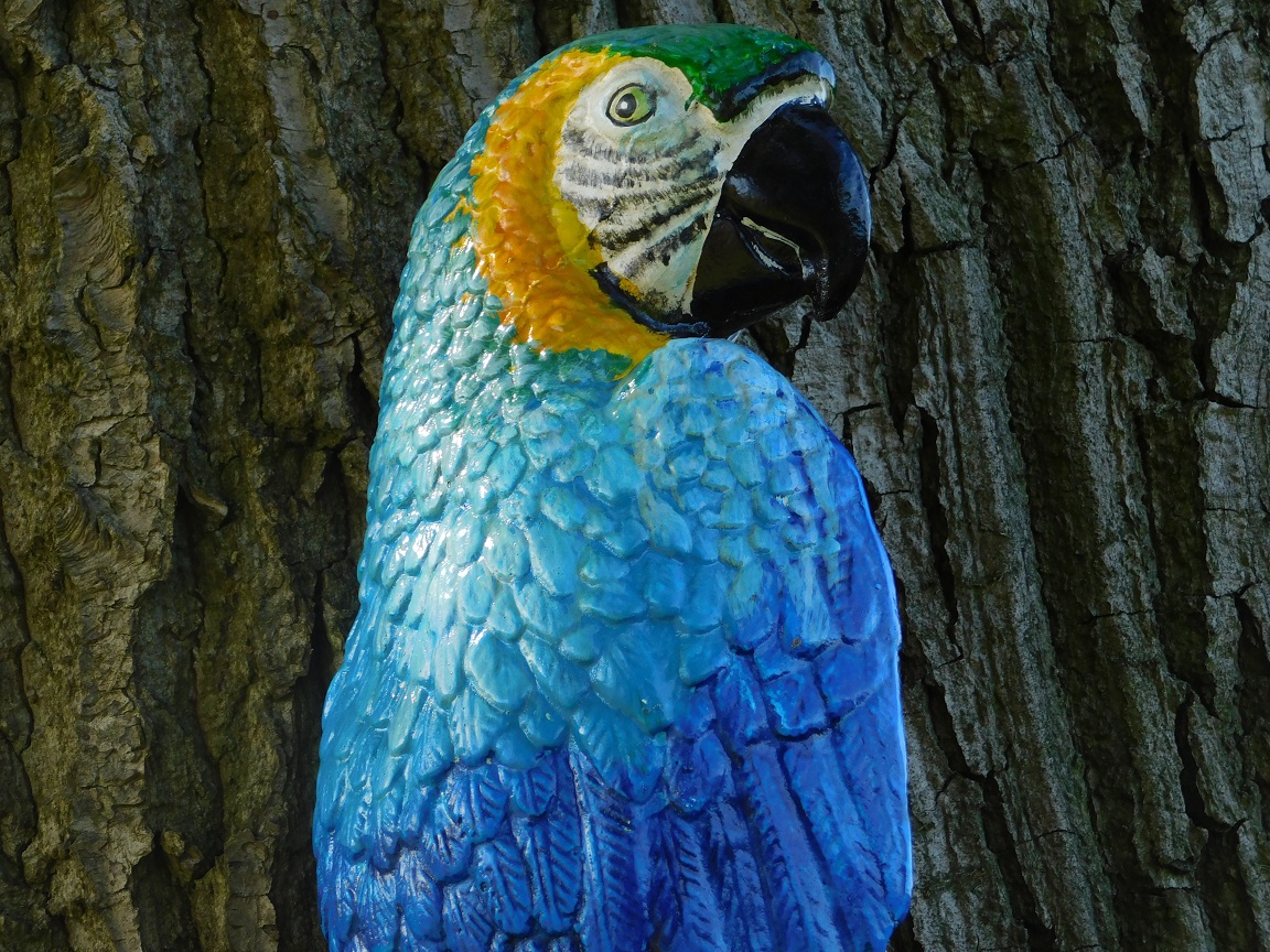 Blauer Papagei XL - Gusseisen - Bunte Wanddekoration