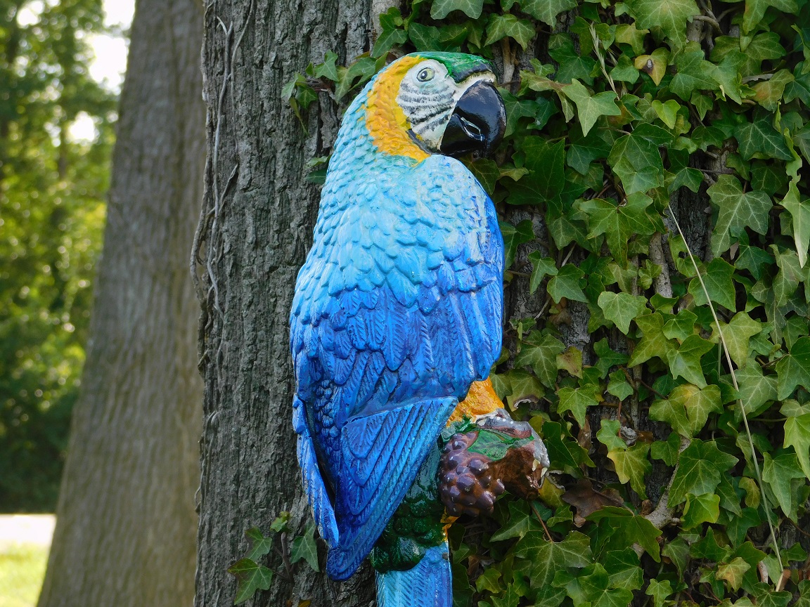 Blauwe Papegaai XL - Gietijzer - Kleurrijke Wanddecoratie