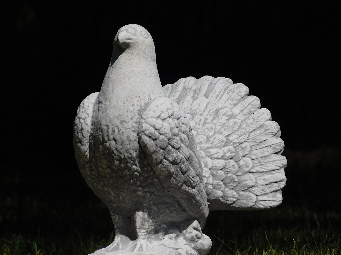 Statue of a peacock pigeon - solid stone