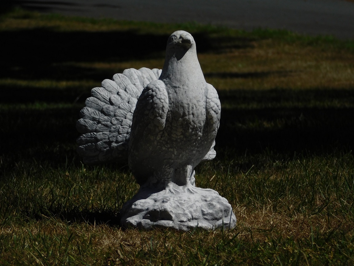 Statue of a peacock pigeon - solid stone