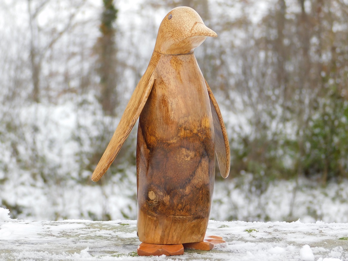 Pinguin (Holzohrstecker) handgemacht - wood stud kreative Geschenke