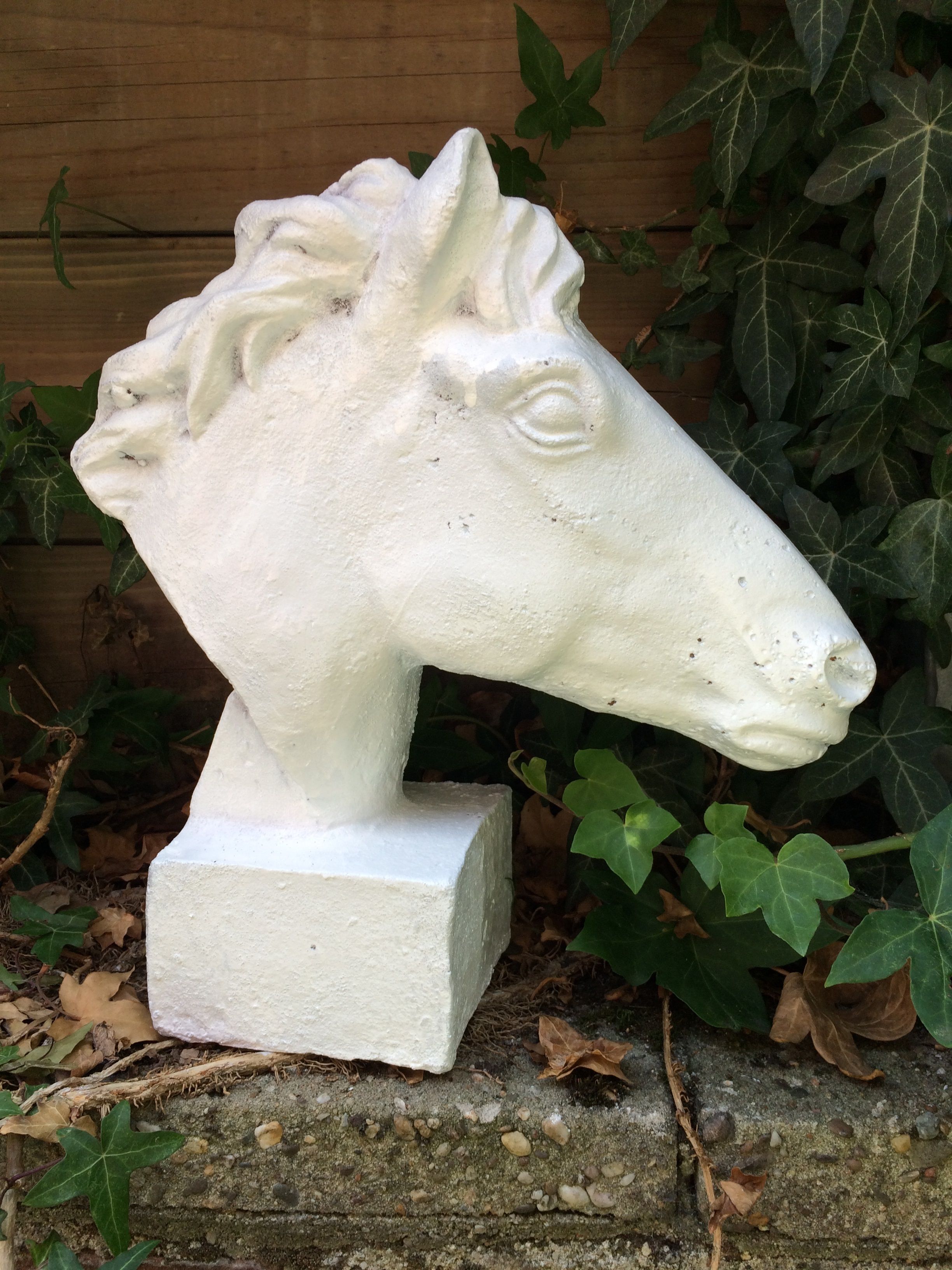Paard gietijzer hoofd, in roest-optica white