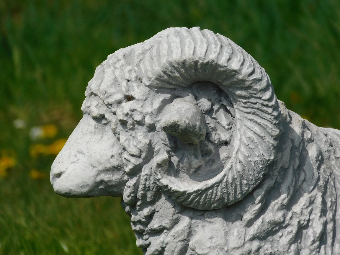 Statue Ram XL - solid stone