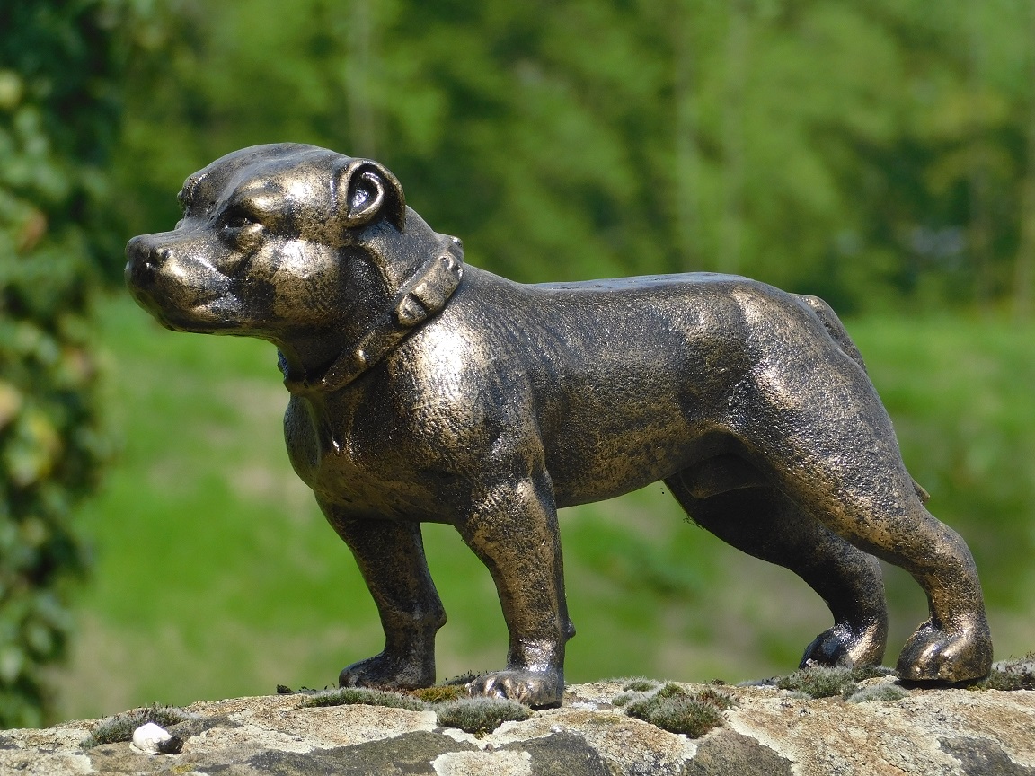 Statue Pitbull - cast iron - dog sculpture