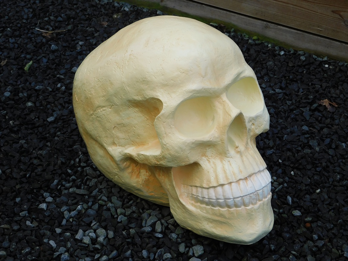 Skull XL - polystone - huge skull