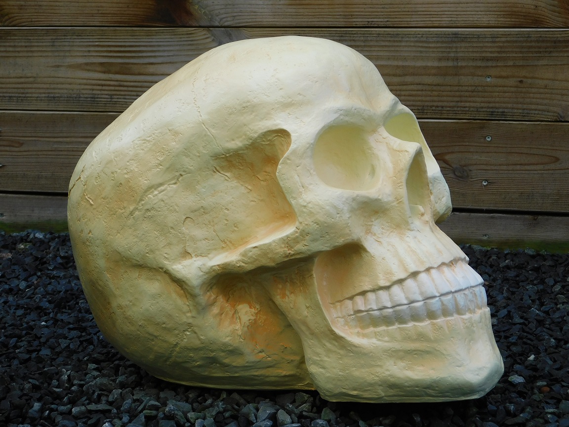 Skull XL - polystone - huge skull