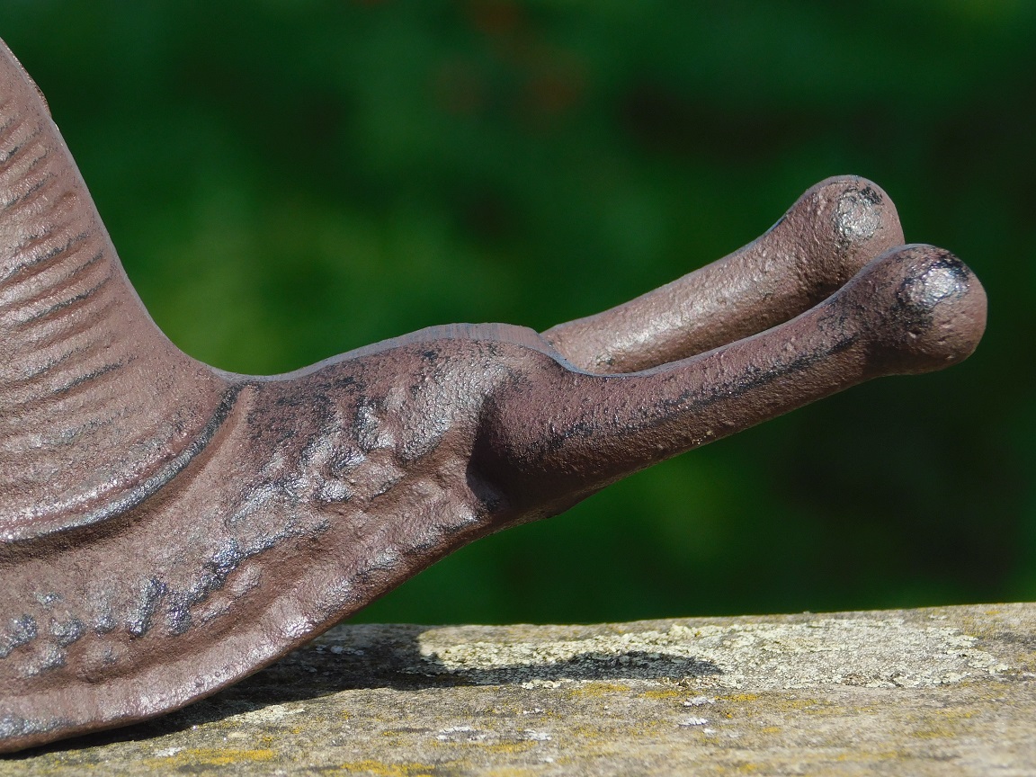 Cast iron Statue of a Snail | Multifunctional as a Bootlegger