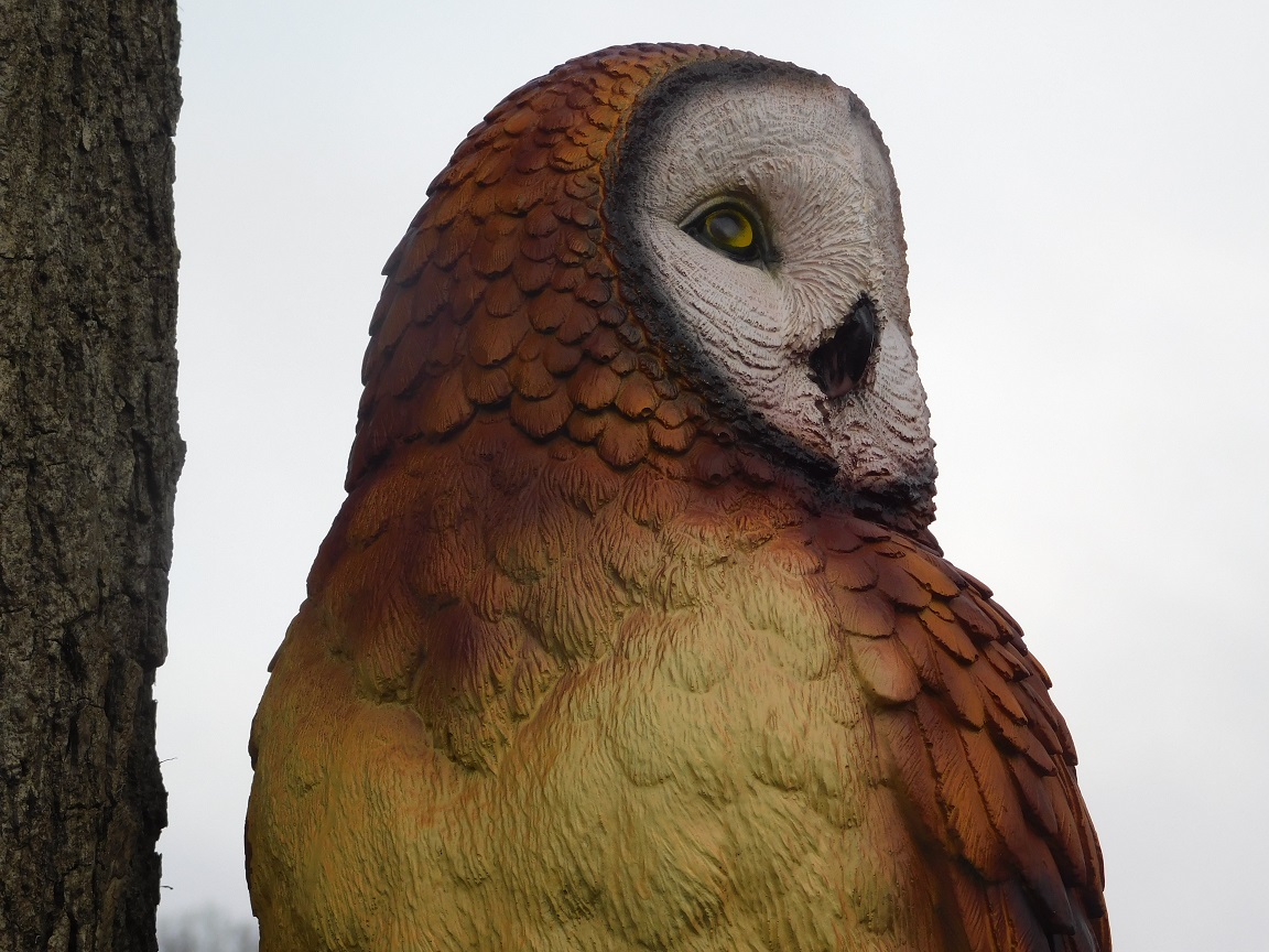 Owl on stump - brown - polystone - detailed